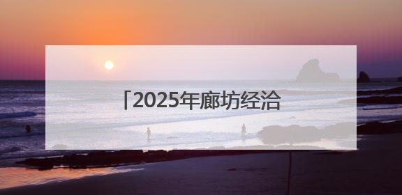 2025年廊坊经洽会亮点抢先看丨离境退税“即买即退”便利国际友人“买买买”