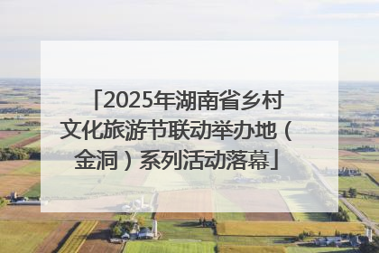 2025年湖南省乡村文化旅游节联动举办地（金洞）系列活动落幕