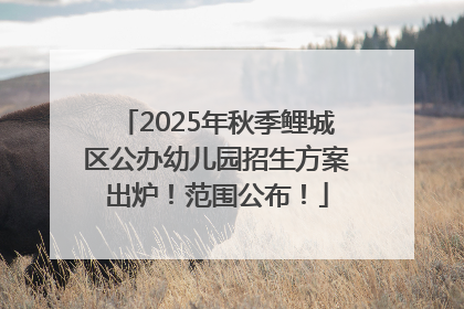 2025年秋季鲤城区公办幼儿园招生方案出炉！范围公布！