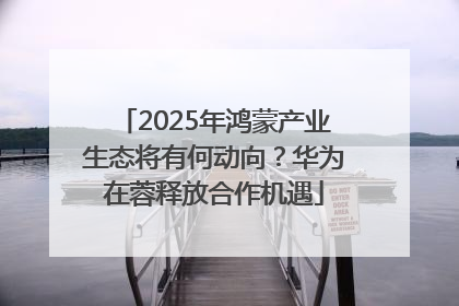 2025年鸿蒙产业生态将有何动向？华为在蓉释放合作机遇