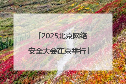 2025北京网络安全大会在京举行