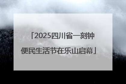 2025四川省一刻钟便民生活节在乐山启幕