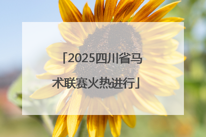 2025四川省马术联赛火热进行