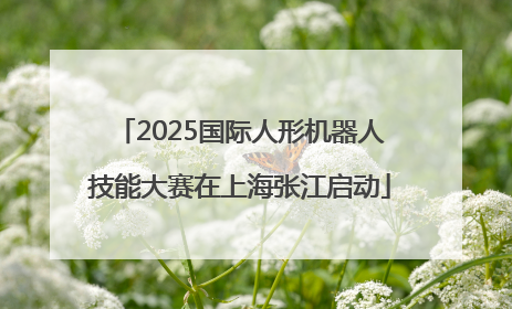 2025国际人形机器人技能大赛在上海张江启动