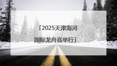 2025天津海河国际龙舟赛举行