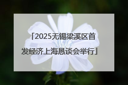 2025无锡梁溪区首发经济上海恳谈会举行
