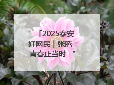 2025泰安好网民｜张腾：青春正当时 “棚”湃振兴曲