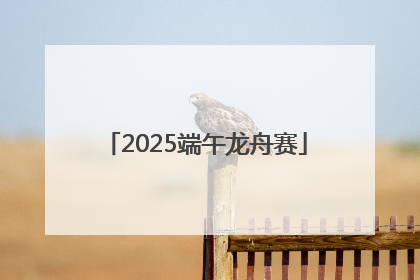 2025端午龙舟赛