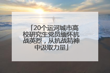 20个运河城市高校研究生党员缅怀抗战英烈，从抗战精神中汲取力量
