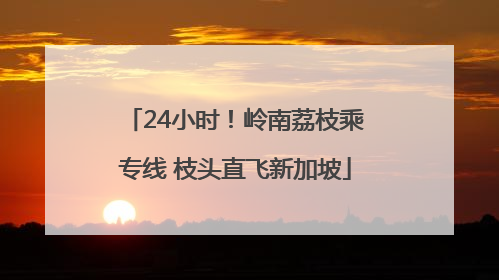 24小时！岭南荔枝乘专线 枝头直飞新加坡