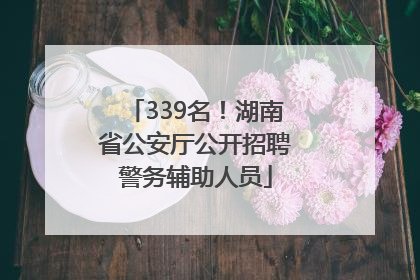 339名！湖南省公安厅公开招聘警务辅助人员