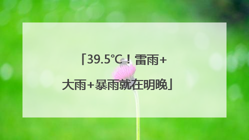 39.5℃！雷雨+大雨+暴雨就在明晚