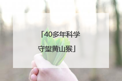40多年科学守望黄山猴