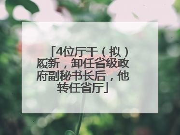4位厅干（拟）履新，卸任省级政府副秘书长后，他转任省厅