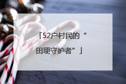 52户村民的“田埂守护者”