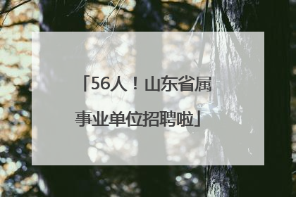56人！山东省属事业单位招聘啦