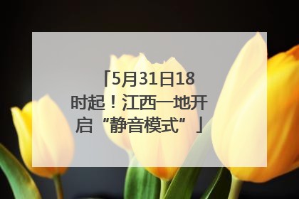 5月31日18时起！江西一地开启“静音模式”
