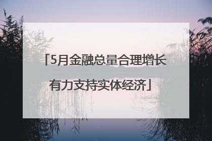 5月金融总量合理增长 有力支持实体经济