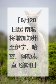6月20日起 南航将增加郑州至伊宁、哈密、阿勒泰直飞航班