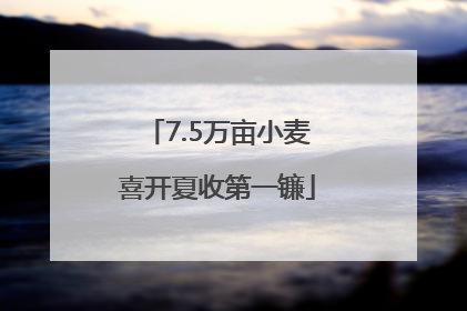 7.5万亩小麦喜开夏收第一镰