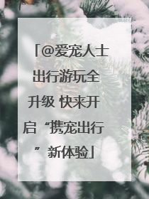 @爱宠人士 出行游玩全升级 快来开启“携宠出行”新体验