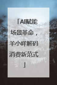 AI赋能场景革命，羊小咩解码消费新范式
