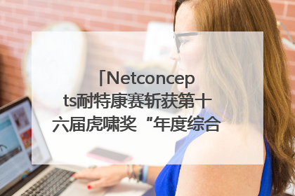 Netconcepts耐特康赛斩获第十六届虎啸奖“年度综合服务商”大奖