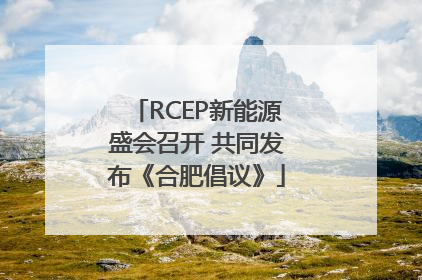 RCEP新能源盛会召开 共同发布《合肥倡议》
