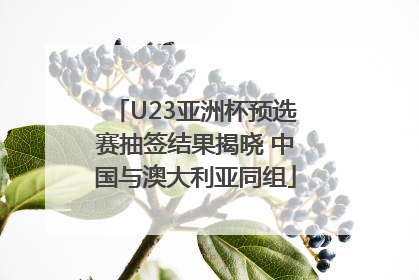 U23亚洲杯预选赛抽签结果揭晓 中国与澳大利亚同组