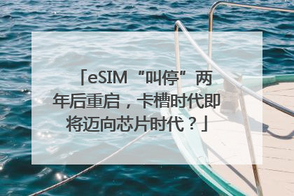 eSIM“叫停”两年后重启，卡槽时代即将迈向芯片时代？